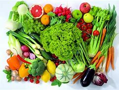 Fruit vegetables like Egg plant, Okra, Peppers, Tomatoes.