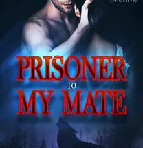 Prisoner To My Mate