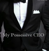 My Possessive CEO