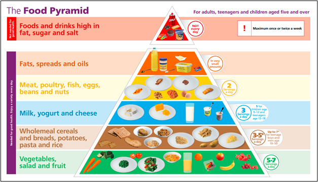 nutrition guidelines for Weight Management and Body Composition