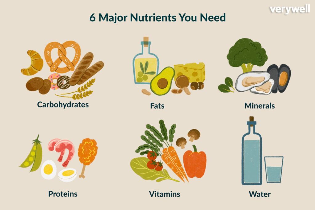 nutrient-rich foods for weight management and  Body Composition