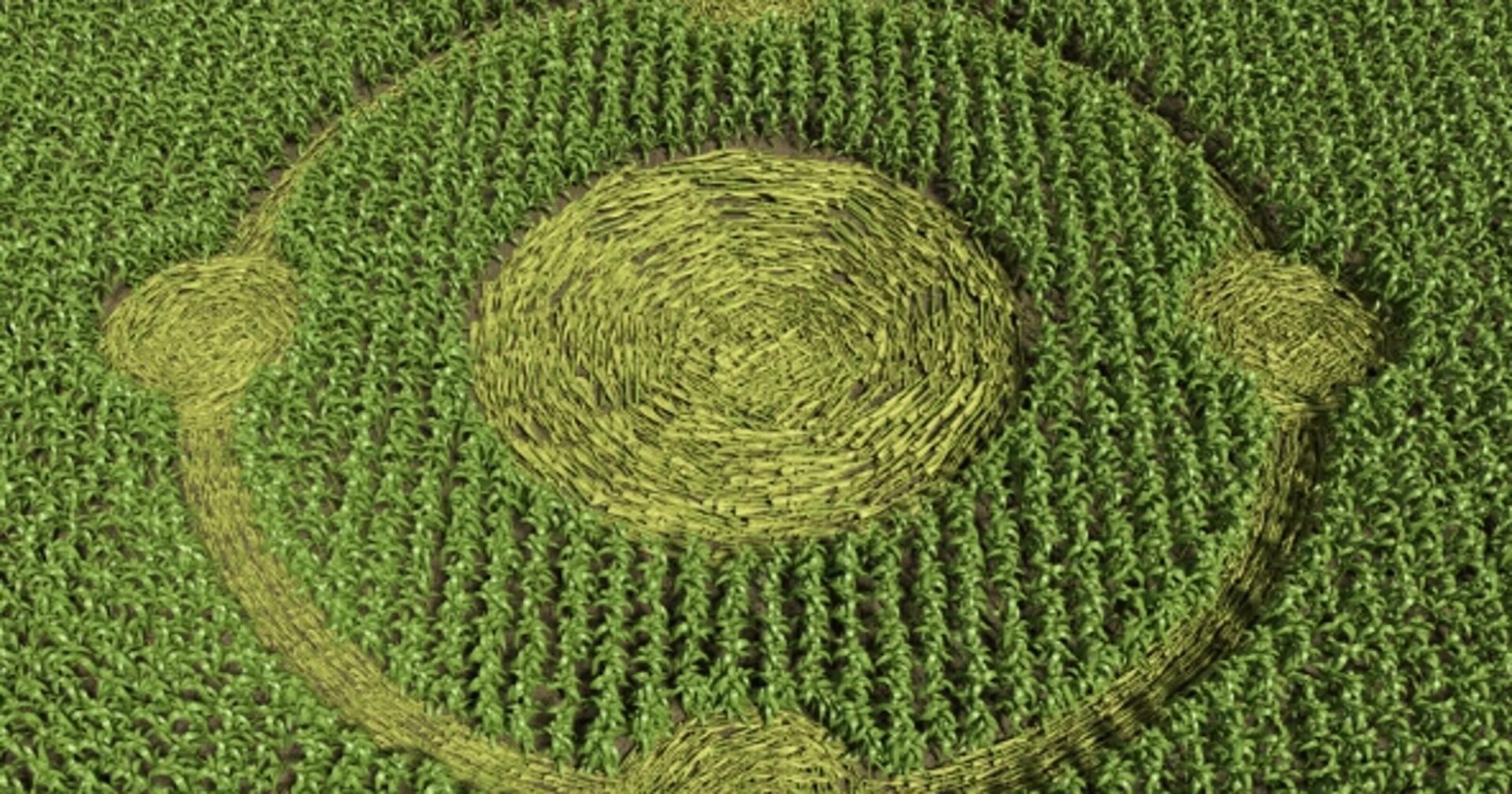 crop circles