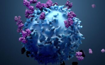 cancer-immunotherapy