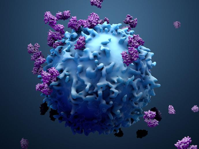 cancer-immunotherapy