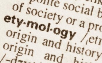 Bizarre Etymology of Everyday Words