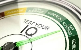 What does an IQ test Actually measure?