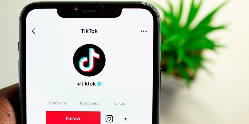 Crafting the Perfect Bio on tiktok 