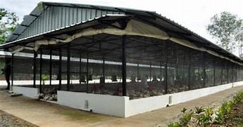 Effective Housing Systems for Successful Poultry Production