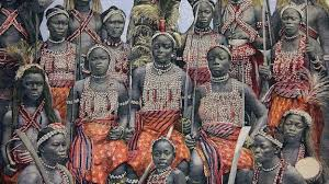 dahomey amazons